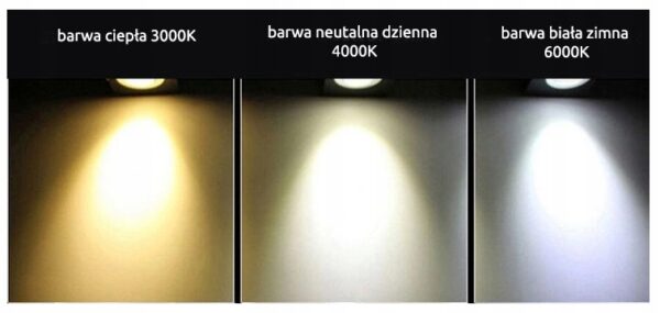 TAŚMA LED 12V 2835 4,8W IP20 60LED BIAŁY ZIMNY PRO TAŚMA LED 12V 2835 4,8W IP20 60LED BIAŁY ZIMNY PRO