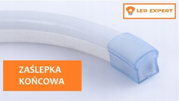 Neon LED kontroler pilot sterownik RGB taśma 230V