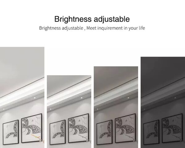 MiLIGHT FUT038S sterownik LED RGB/RGBW 12A 12-24V