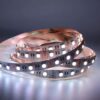 fa196139172aa1dce88feb2f5894e63d Taśma LED 24V RGBW Naturalna 60xSMD5050 19,2W/m Pro 5m
