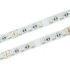id-2331 Taśma LED 24V RGBW Zimna 60xSMD5050 19,2W/m Pro 5m