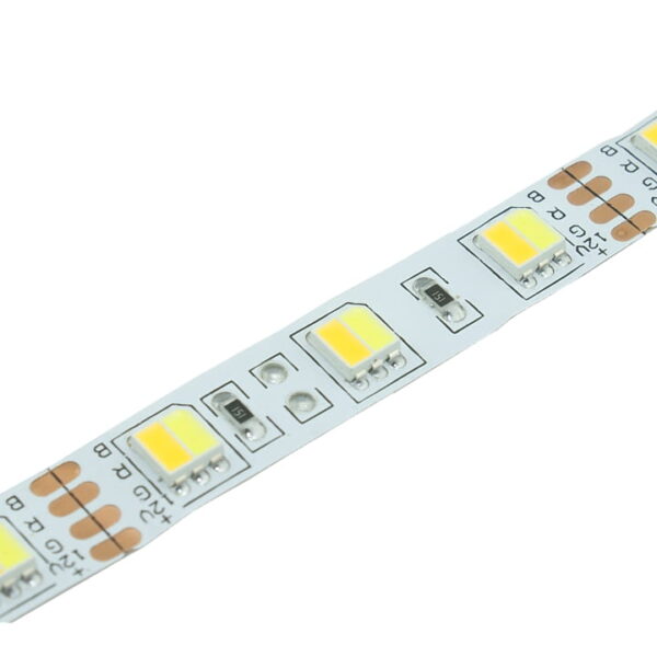 Taśma LED CCT 12V SMD 5025 12V 4,6W 10mm