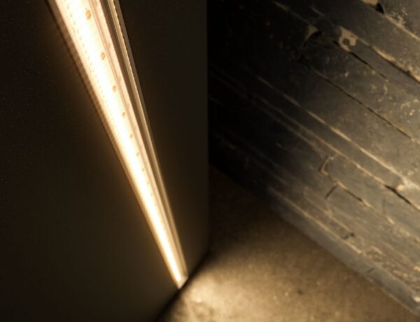 Taśma LED COB 12V 320 LED 10W/m Ciepła - 5m