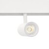 wah.reflektor-magnetyczny-spotlight-mi-light-smart-bialy-10w-cct-1 Reflektor magnetyczny Mi-Light CCT 10W biały